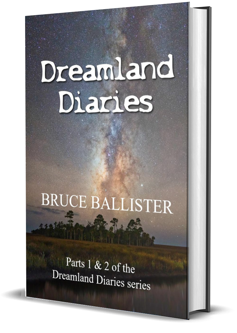 Dreamland Diaries book
