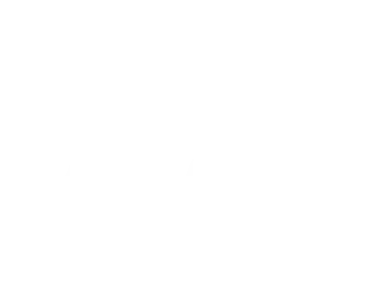 Platform 18 logo light