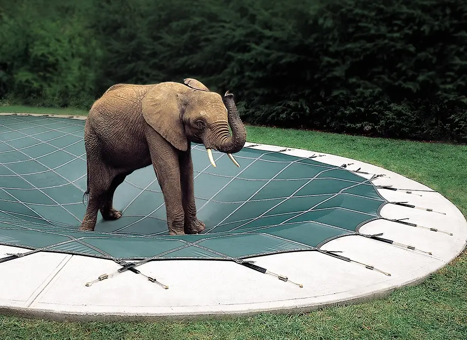 elephant on pool cover