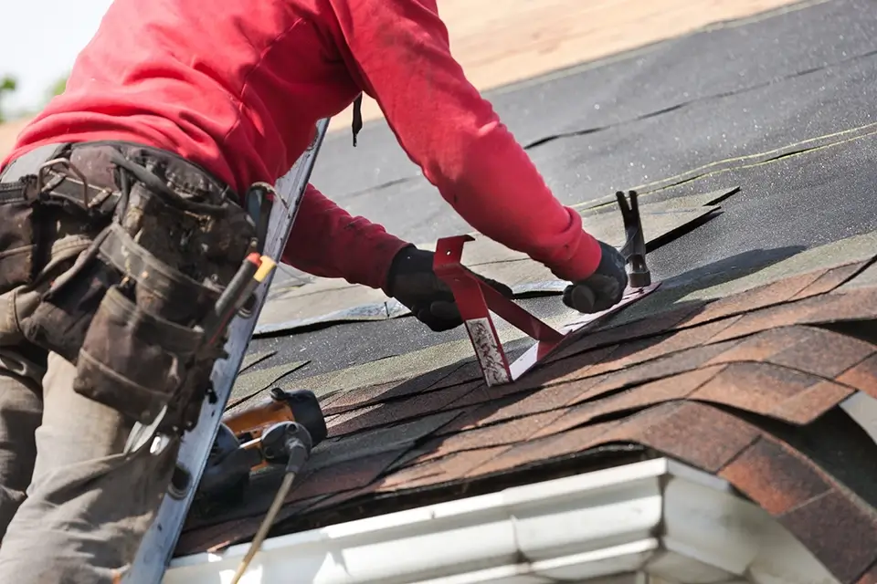 IMG_1960 roofing