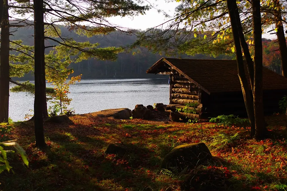 cabin in the woods