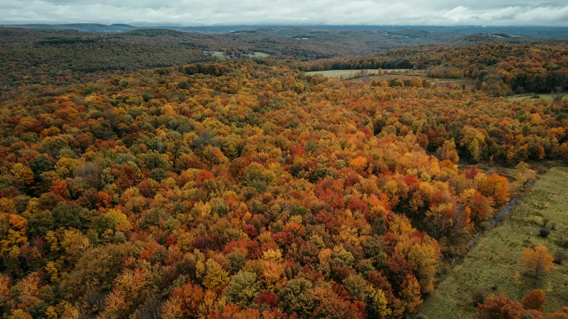 Catskill Mountains Region