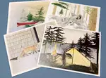 NYSOGA note cards