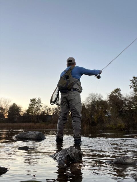 Halcyon Fly Fishing