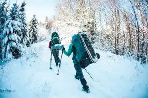 Adirondack All Seasons Guide Service