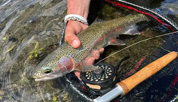 Ashokan Outdoors
