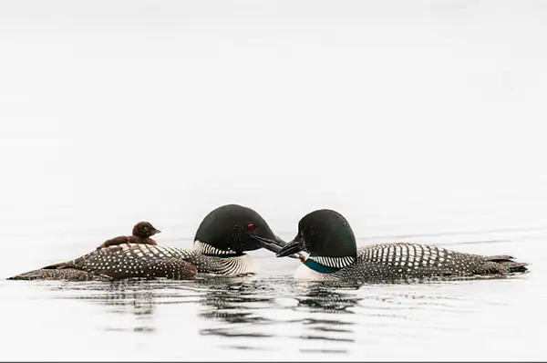 Kurt Gardner Photography Gallery