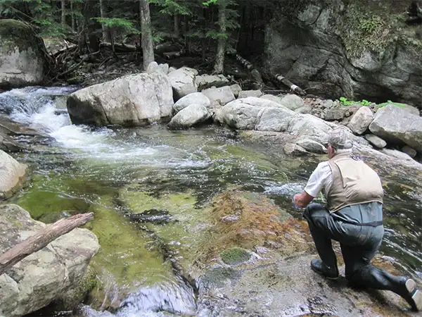 Ruff Waters Fly Fishing