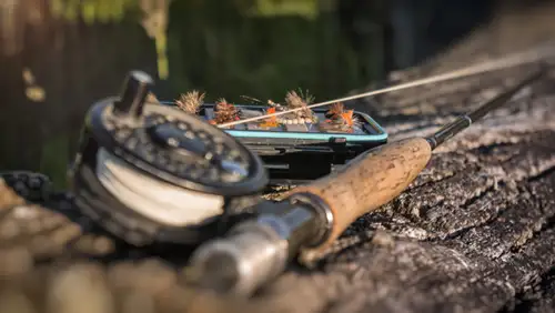 Jeff Thorp Fly Fishing