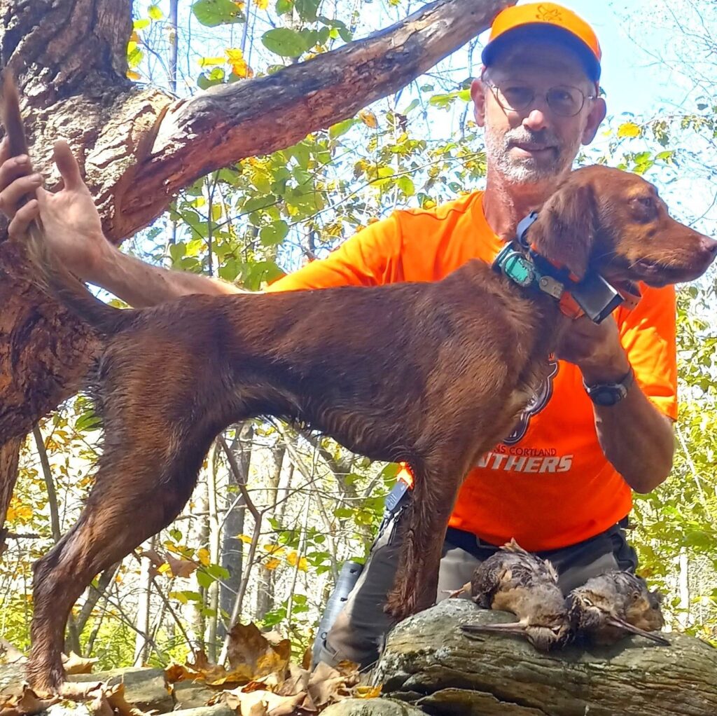 Ruff Country Gun Dogs